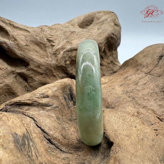 【肌容雪】天然緬甸A貨湖水綠翡翠貴妃鐲 編號102(鐲圍53.9mm#17號) 【肌容雪】天然緬甸A貨湖水綠翡翠貴妃鐲 編號102(鐲圍53.9mm#17號)