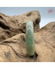 【肌容雪】天然緬甸A貨湖水綠翡翠貴妃鐲 編號102(鐲圍53.9mm#17號) 【肌容雪】天然緬甸A貨湖水綠翡翠貴妃鐲 編號102(鐲圍53.9mm#17號)