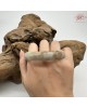 【肌容雪】天然緬甸A貨白底飄紅翡翠平安鐲 編號107(鐲圍57.2mm#18號) 【肌容雪】天然緬甸A貨白底飄紅翡翠平安鐲 編號107(鐲圍57.2mm#18號)