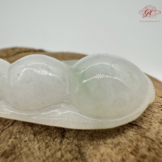 【肌容雪】天然緬甸A貨翡翠福豆造型吊墜 編號113 【肌容雪】天然緬甸A貨翡翠福豆造型吊墜 編號113