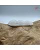 【肌容雪】天然緬甸A貨翡翠福豆造型吊墜 編號113 【肌容雪】天然緬甸A貨翡翠福豆造型吊墜 編號113