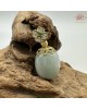 【肌容雪】天然緬甸A貨冰飄花翡翠路路通吊墬 編號114 【肌容雪】天然緬甸A貨冰飄花翡翠路路通吊墬 編號114