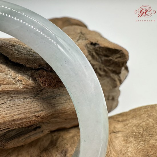 【肌容雪】天然緬甸A貨紫底飄綠花翡翠平安鐲 編號150(鐲圍57.6mm#18號)