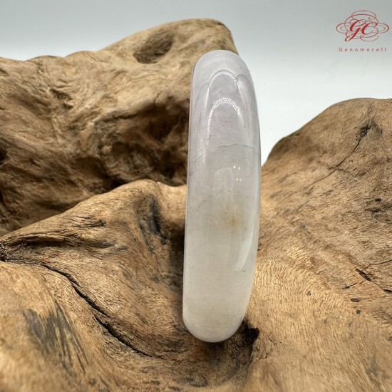 【肌容雪】天然緬甸A貨冰春彩撒金翡翠平安鐲 編號158(鐲圍56.8mm#18號)