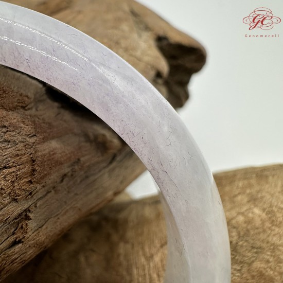 【肌容雪】天然緬甸A貨冰春彩撒金翡翠平安鐲 編號158(鐲圍56.8mm#18號)