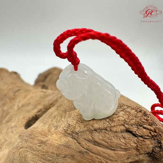 【肌容雪】天然緬甸A貨白月光老虎造型翡翠吊飾 編號159