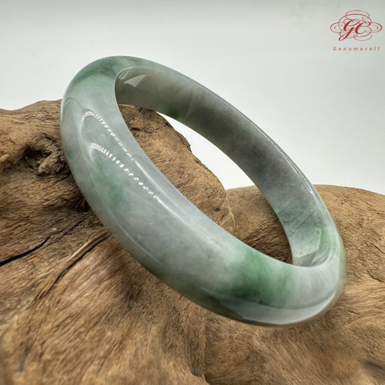 【肌容雪】天然緬甸A貨陽綠烏雞翡翠平安鐲 編號171(鐲圍56.4mm#17.5號)