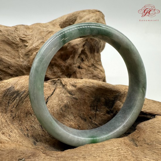 【肌容雪】天然緬甸A貨陽綠烏雞翡翠平安鐲 編號171(鐲圍56.4mm#17.5號)