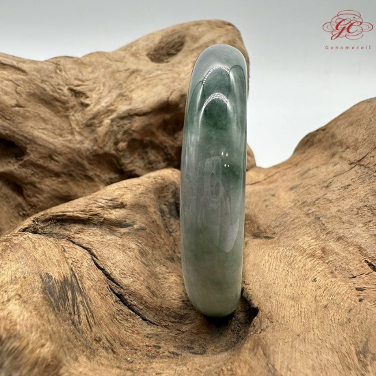 【肌容雪】天然緬甸A貨陽綠烏雞翡翠平安鐲 編號171(鐲圍56.4mm#17.5號)