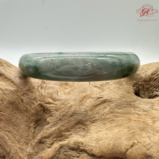 【肌容雪】天然緬甸A貨陽綠烏雞翡翠平安鐲 編號171(鐲圍56.4mm#17.5號)