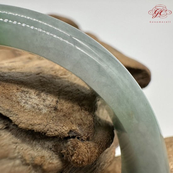 【肌容雪】天然緬甸A貨陽綠烏雞翡翠平安鐲 編號171(鐲圍56.4mm#17.5號)