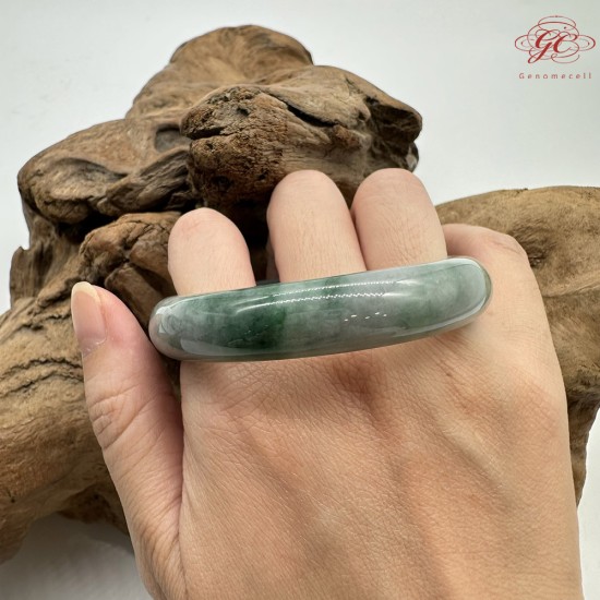 【肌容雪】天然緬甸A貨陽綠烏雞翡翠平安鐲 編號171(鐲圍56.4mm#17.5號)