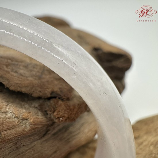 【肌容雪】天然緬甸A貨冰粉春撒金翡翠貴妃鐲 編號172(鐲圍53.6mm#17號)