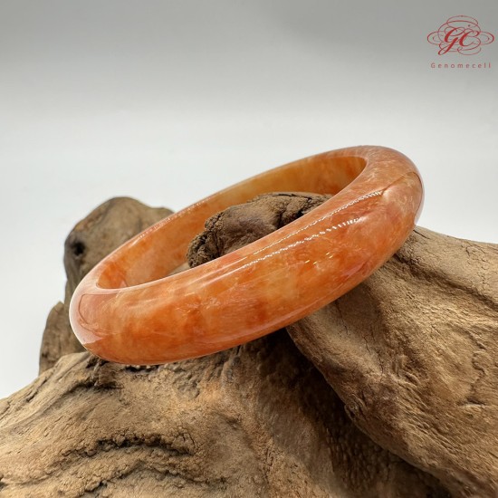 【肌容雪】天然緬甸A貨冰飄花紅翡翠平安鐲 編號173(鐲圍55.0mm#17.5號)