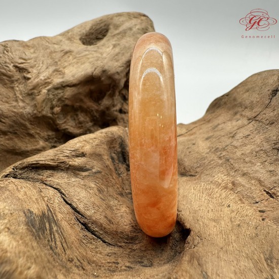 【肌容雪】天然緬甸A貨冰飄花紅翡翠平安鐲 編號173(鐲圍55.0mm#17.5號)