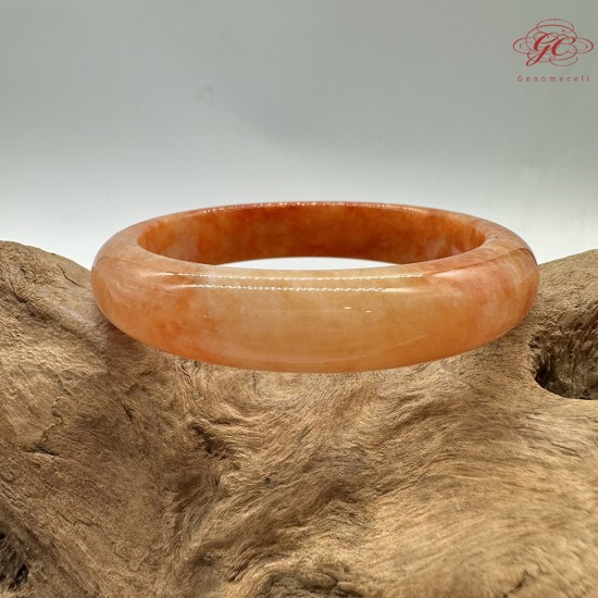 【肌容雪】天然緬甸A貨冰飄花紅翡翠平安鐲 編號173(鐲圍55.0mm#17.5號)