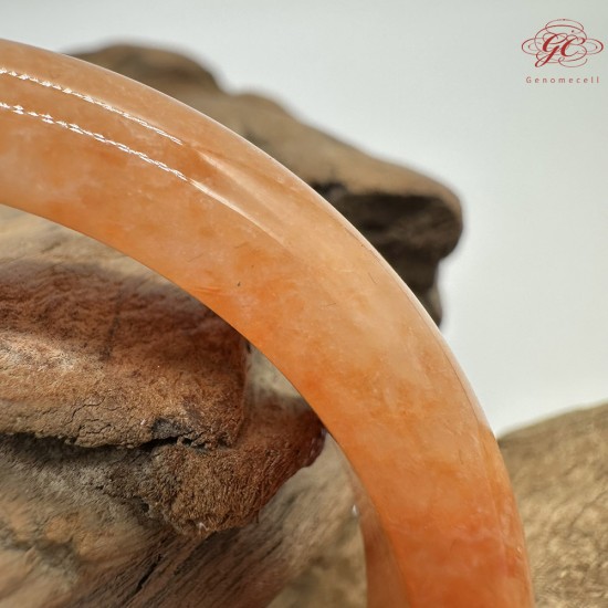 【肌容雪】天然緬甸A貨冰飄花紅翡翠平安鐲 編號173(鐲圍55.0mm#17.5號)