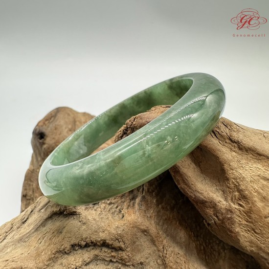 【肌容雪】天然緬甸A貨冰滿綠撒金翡翠平安鐲 編號174(鐲圍57.1mm#18號)