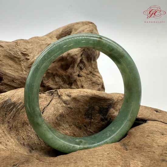 【肌容雪】天然緬甸A貨冰滿綠撒金翡翠平安鐲 編號174(鐲圍57.1mm#18號)