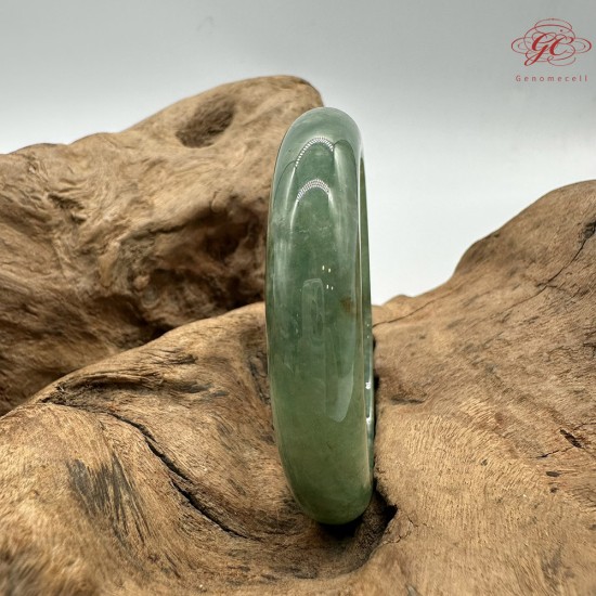 【肌容雪】天然緬甸A貨冰滿綠撒金翡翠平安鐲 編號174(鐲圍57.1mm#18號)