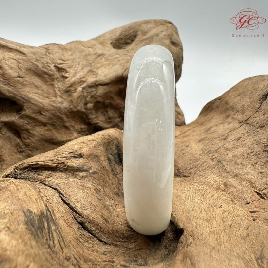 【肌容雪】天然緬甸A貨桂花糕翡翠平安鐲 編號176(鐲圍54.4mm#17號)