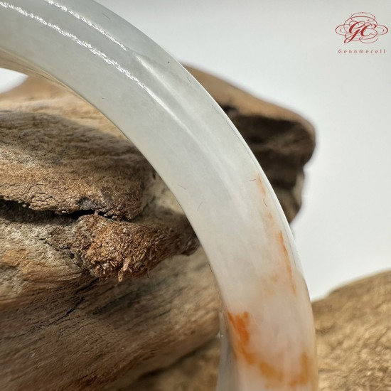 【肌容雪】天然緬甸A貨桂花糕翡翠平安鐲 編號176(鐲圍54.4mm#17號)