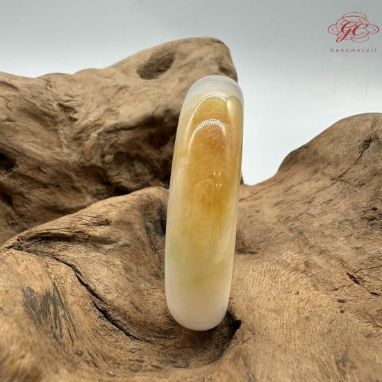 【肌容雪】天然緬甸A貨雞油黃翡翠平安鐲 編號178(鐲圍53.4mm#16.5號)
