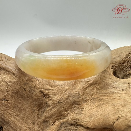 【肌容雪】天然緬甸A貨雞油黃翡翠平安鐲 編號178(鐲圍53.4mm#16.5號)