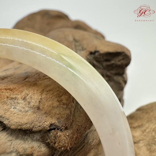 【肌容雪】天然緬甸A貨雞油黃翡翠平安鐲 編號178(鐲圍53.4mm#16.5號)