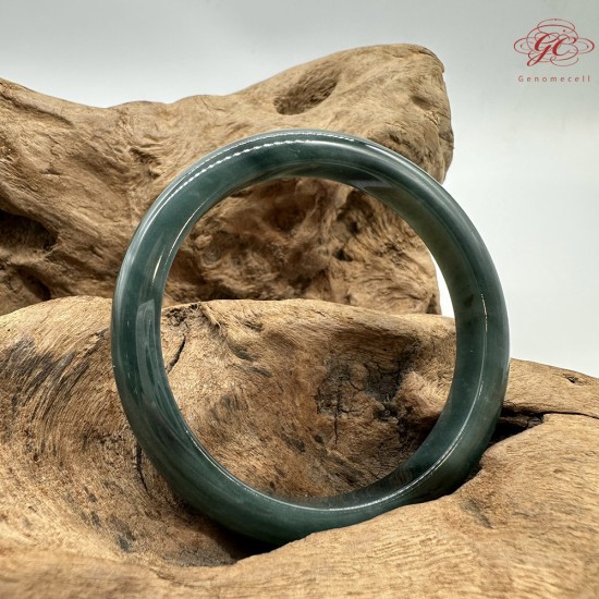 【肌容雪】天然緬甸A貨湖水綠翡翠平安鐲 編號183(鐲圍56.6mm#18號)