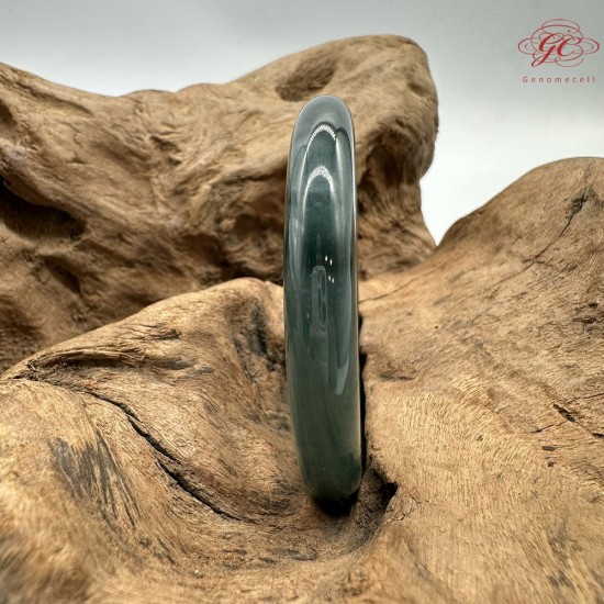 【肌容雪】天然緬甸A貨湖水綠翡翠平安鐲 編號183(鐲圍56.6mm#18號)
