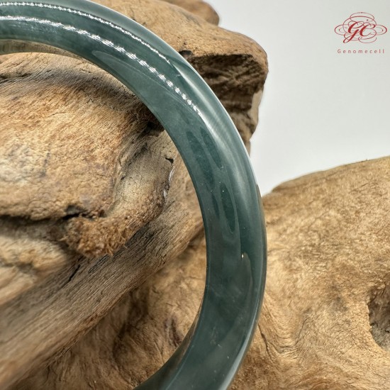 【肌容雪】天然緬甸A貨湖水綠翡翠平安鐲 編號183(鐲圍56.6mm#18號)