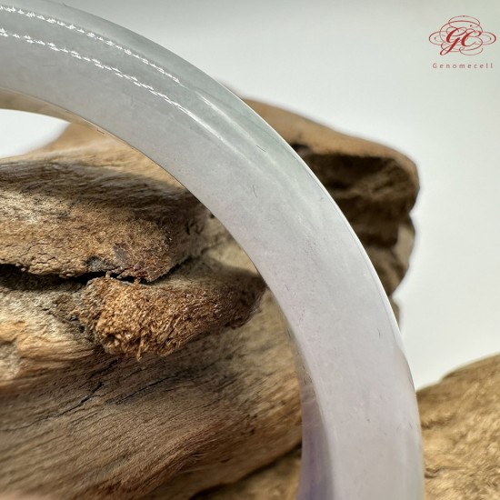 【肌容雪】天然緬甸A貨粉春翡翠平安鐲 編號190(鐲圍57.1mm#18號)