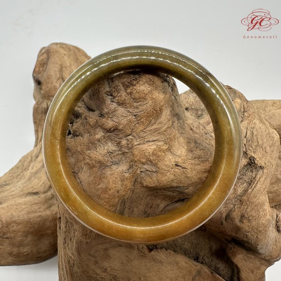 【肌容雪】天然緬甸A貨黃翡翠平安鐲 編號191(鐲圍58.4mm#18.5號)