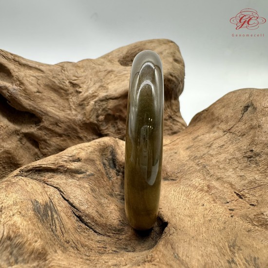 【肌容雪】天然緬甸A貨黃翡翠平安鐲 編號191(鐲圍58.4mm#18.5號)