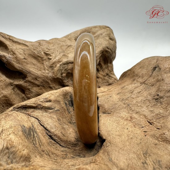 【肌容雪】天然緬甸A貨黃翡翠平安鐲 編號191(鐲圍58.4mm#18.5號)