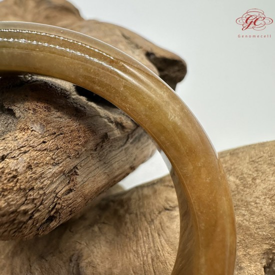 【肌容雪】天然緬甸A貨黃翡翠平安鐲 編號191(鐲圍58.4mm#18.5號)