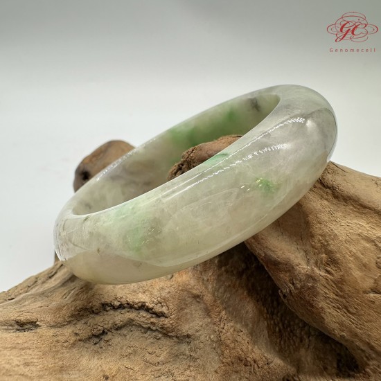 【肌容雪】天然緬甸A貨陽綠烏雞翡翠平安鐲 編號193(鐲圍59.7mm#19號)