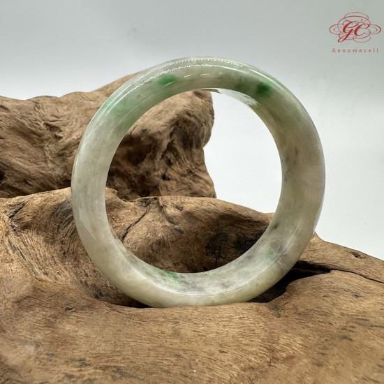 【肌容雪】天然緬甸A貨陽綠烏雞翡翠平安鐲 編號193(鐲圍59.7mm#19號)