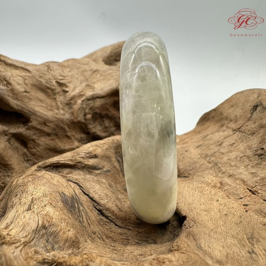 【肌容雪】天然緬甸A貨陽綠烏雞翡翠平安鐲 編號193(鐲圍59.7mm#19號)