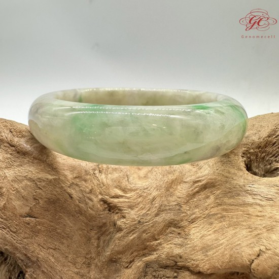 【肌容雪】天然緬甸A貨陽綠烏雞翡翠平安鐲 編號193(鐲圍59.7mm#19號)