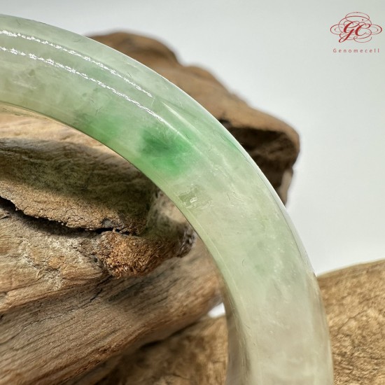 【肌容雪】天然緬甸A貨陽綠烏雞翡翠平安鐲 編號193(鐲圍59.7mm#19號)