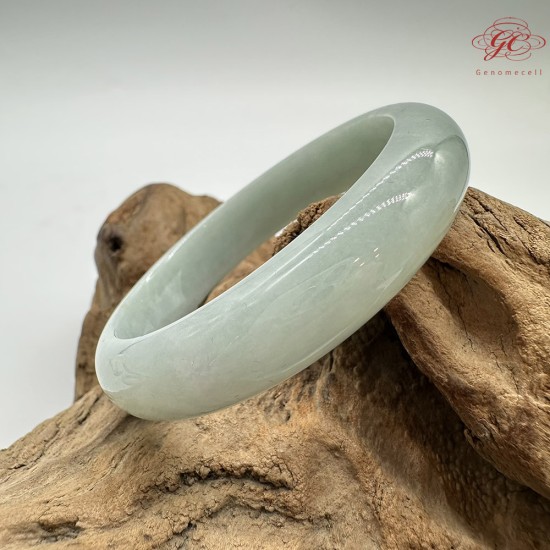 【肌容雪】天然緬甸A貨果綠滿圈翡翠平安鐲 編號205(鐲圍55.0mm#17.5號)