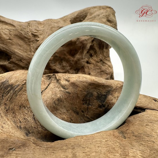 【肌容雪】天然緬甸A貨果綠滿圈翡翠平安鐲 編號205(鐲圍55.0mm#17.5號)