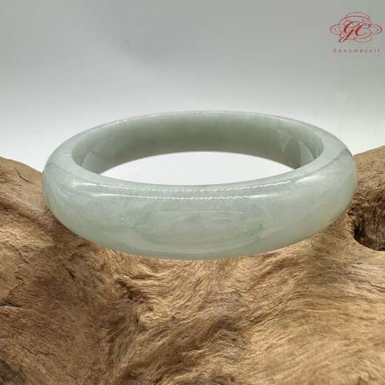 【肌容雪】天然緬甸A貨果綠滿圈翡翠平安鐲 編號205(鐲圍55.0mm#17.5號)
