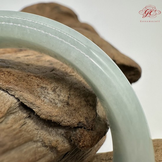 【肌容雪】天然緬甸A貨果綠滿圈翡翠平安鐲 編號205(鐲圍55.0mm#17.5號)