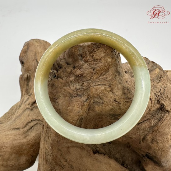 【肌容雪】天然緬甸A貨黃翡半山辦水翡翠手鐲 編號220(鐲寬 58.5mm #19號)