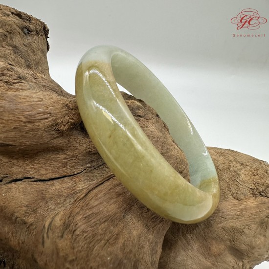 【肌容雪】天然緬甸A貨黃翡半山辦水翡翠手鐲 編號220(鐲寬 58.5mm #19號)