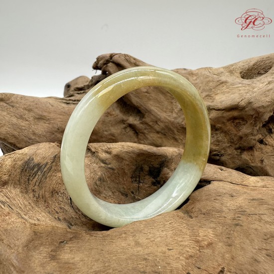 【肌容雪】天然緬甸A貨黃翡半山辦水翡翠手鐲 編號220(鐲寬 58.5mm #19號)