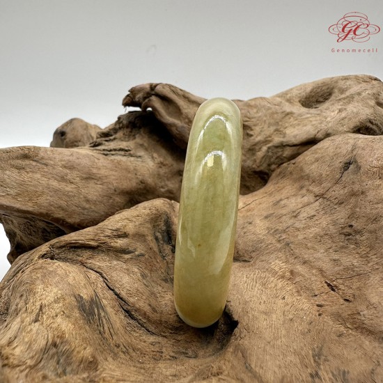 【肌容雪】天然緬甸A貨黃翡半山辦水翡翠手鐲 編號220(鐲寬 58.5mm #19號)